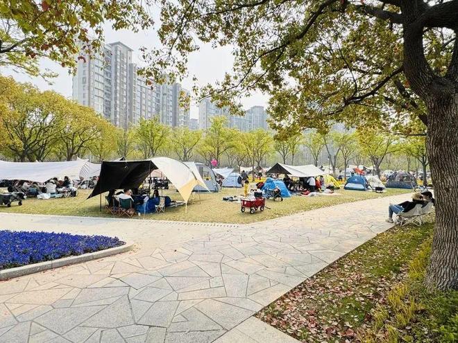 确认：不得随意以安全为由禁止搭设……冰球突破游戏网站事关公园